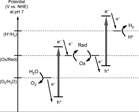 photocatalysis5